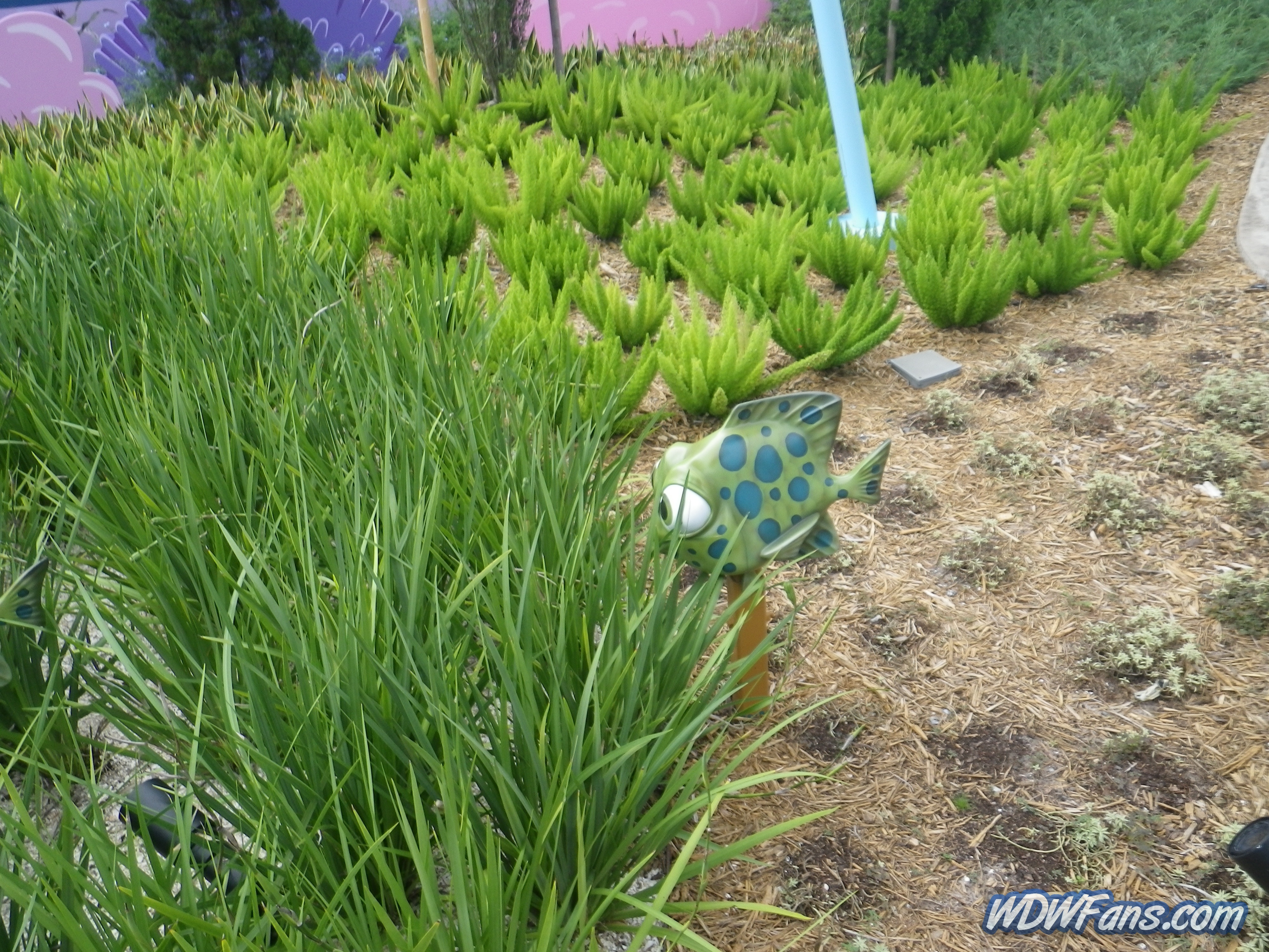 Finding Nemo - Art of Animation Resort