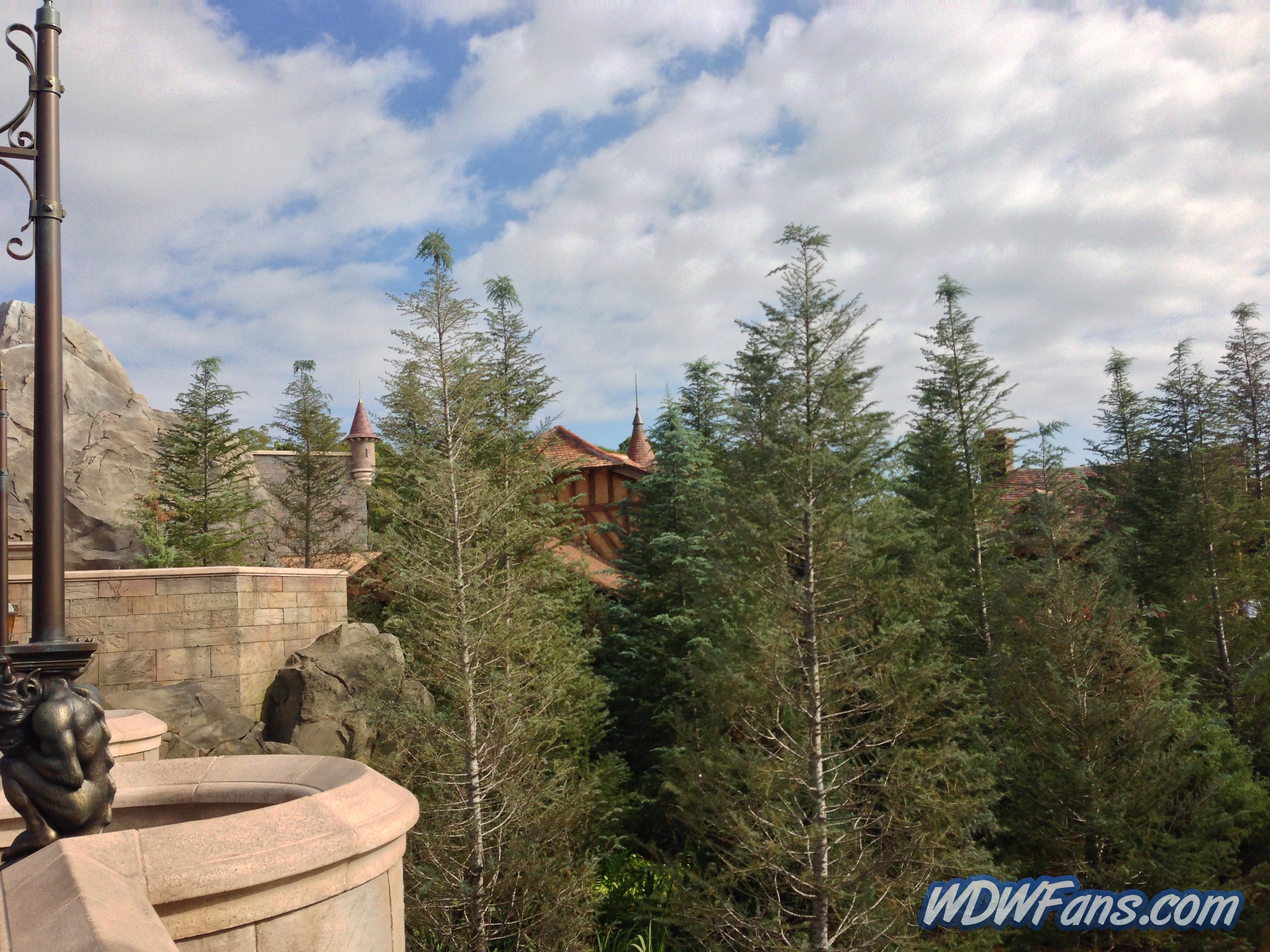 Enchanted Forest Soft Opening
