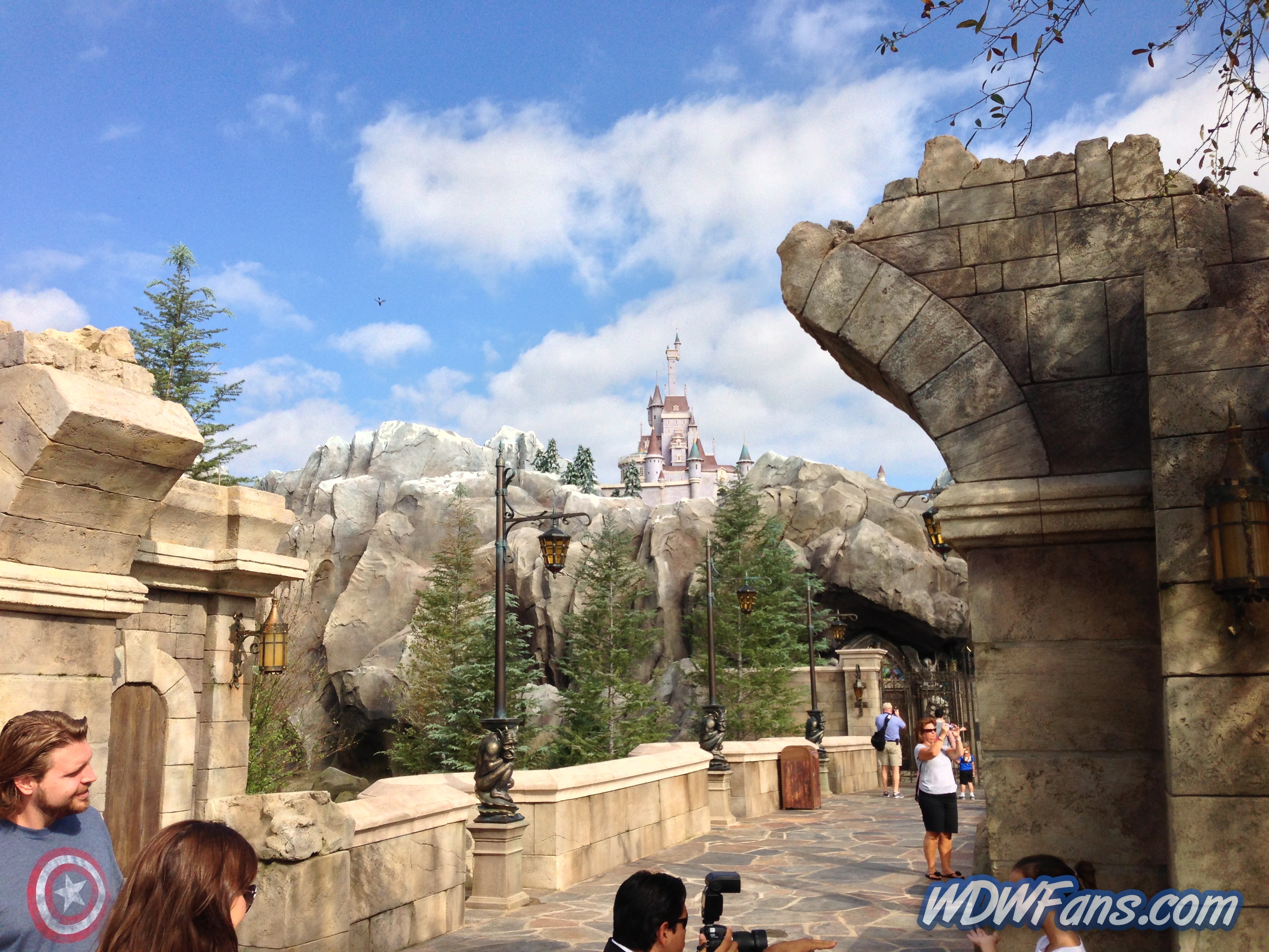 Enchanted Forest Soft Opening