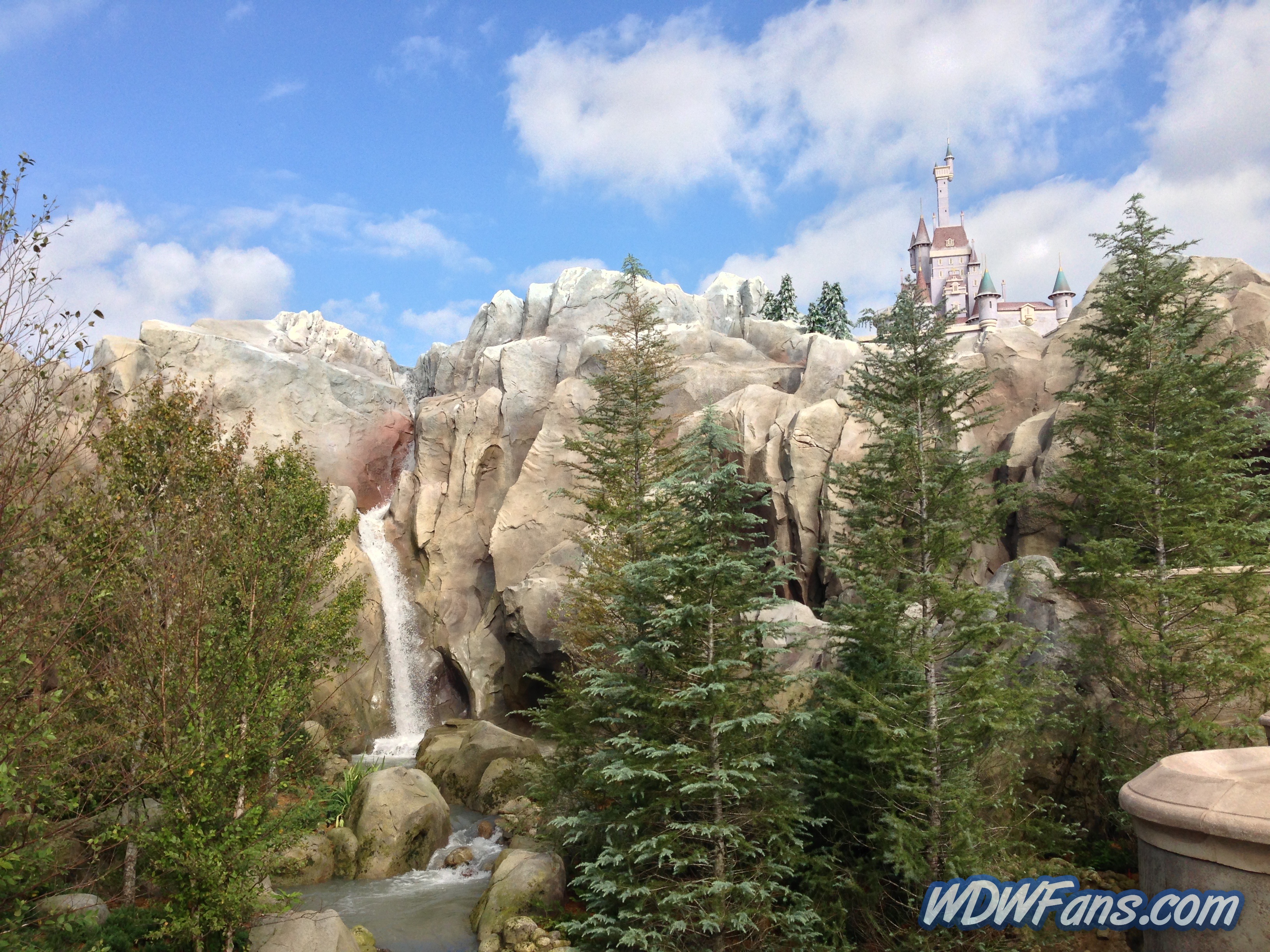 Enchanted Forest Soft Opening