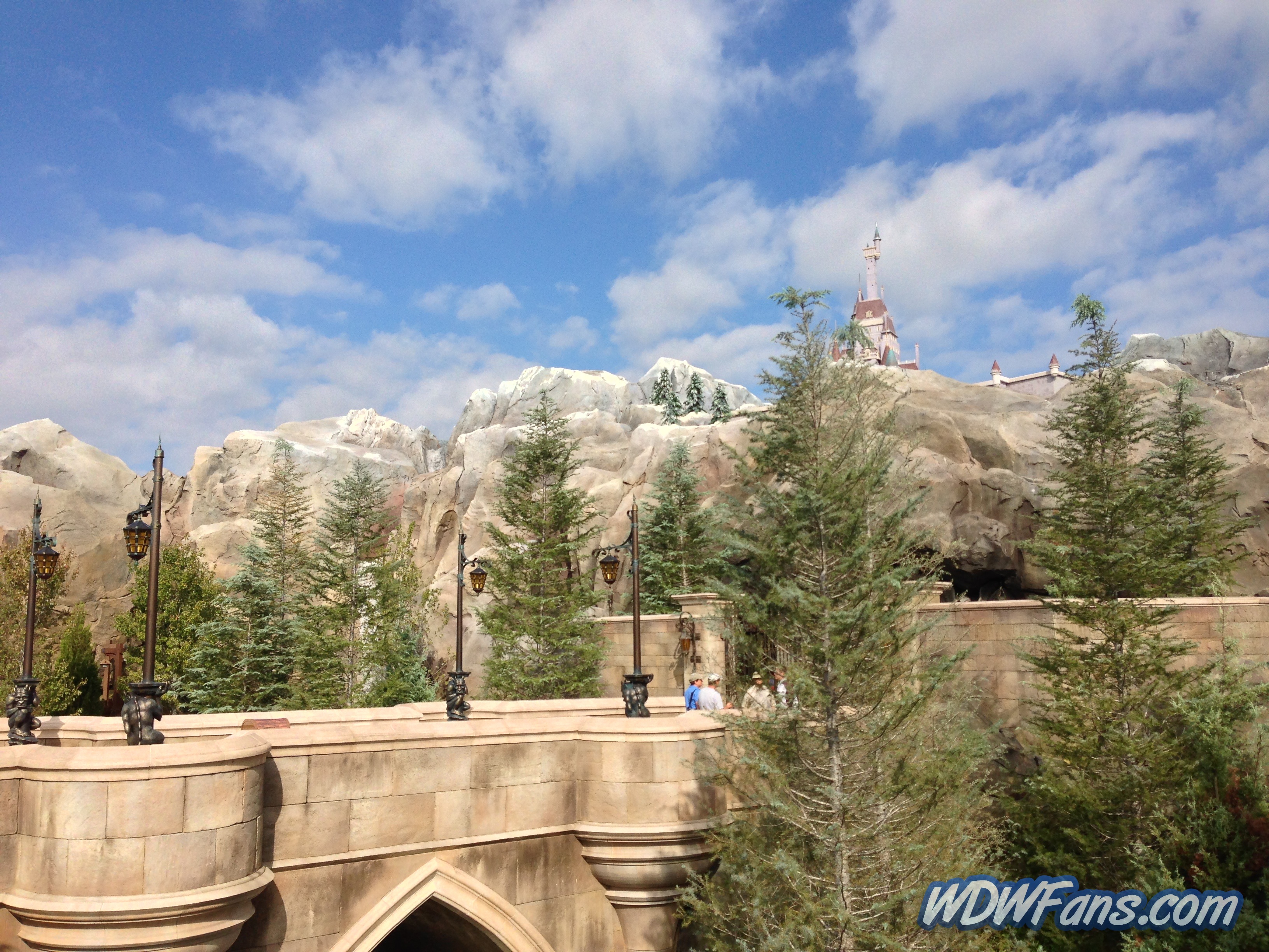 Enchanted Forest Soft Opening