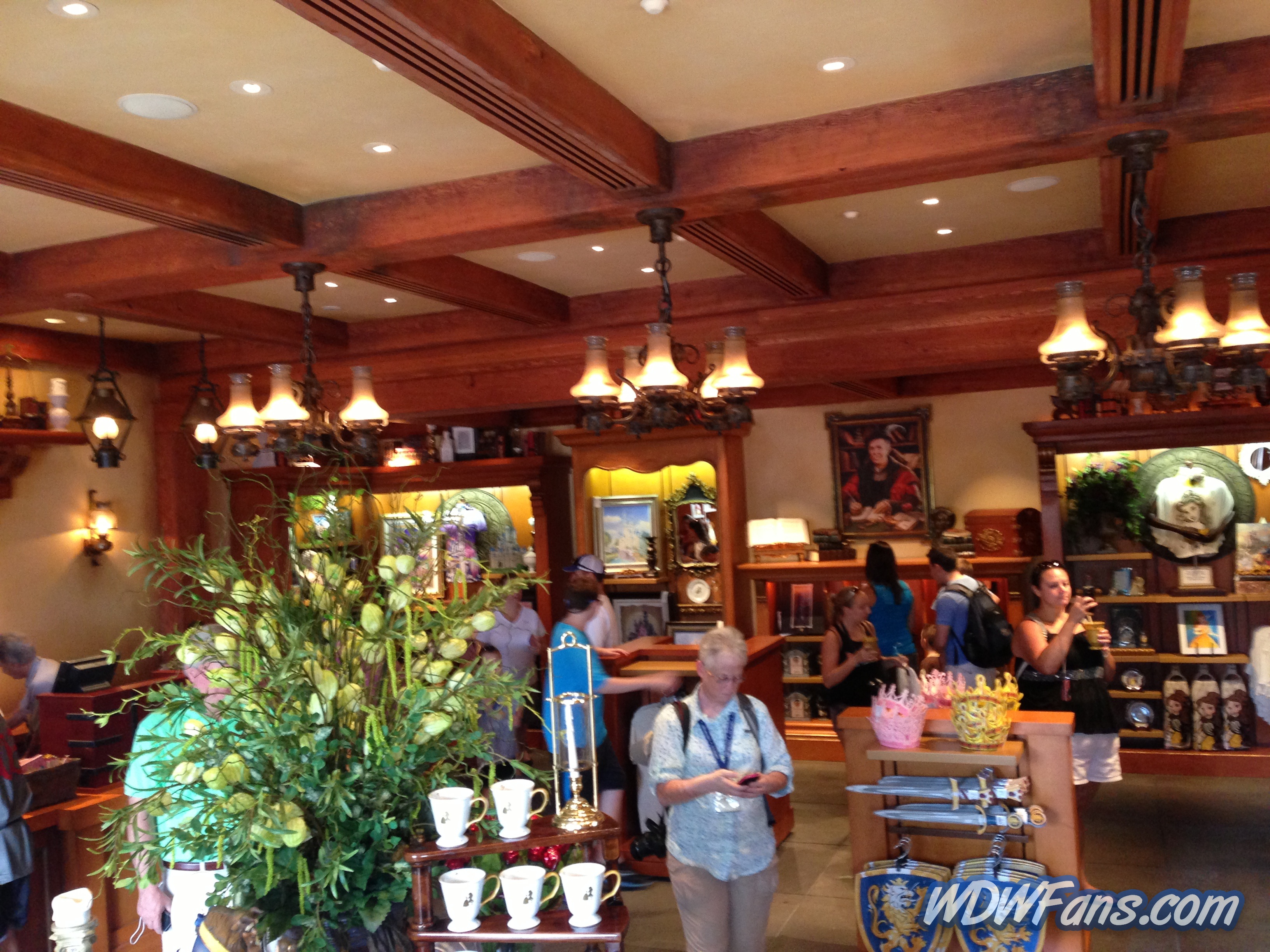 Enchanted Forest Soft Opening