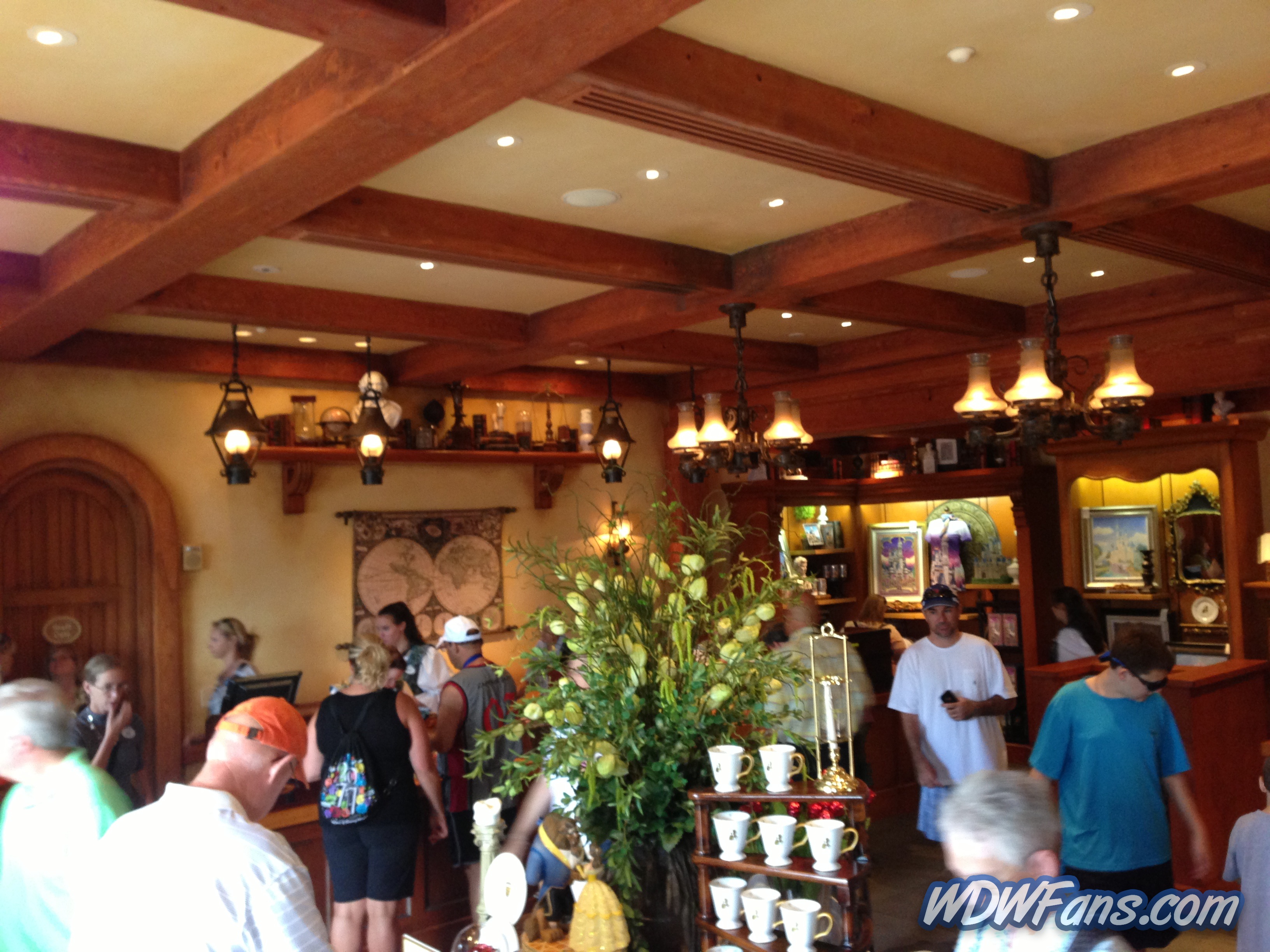 Enchanted Forest Soft Opening