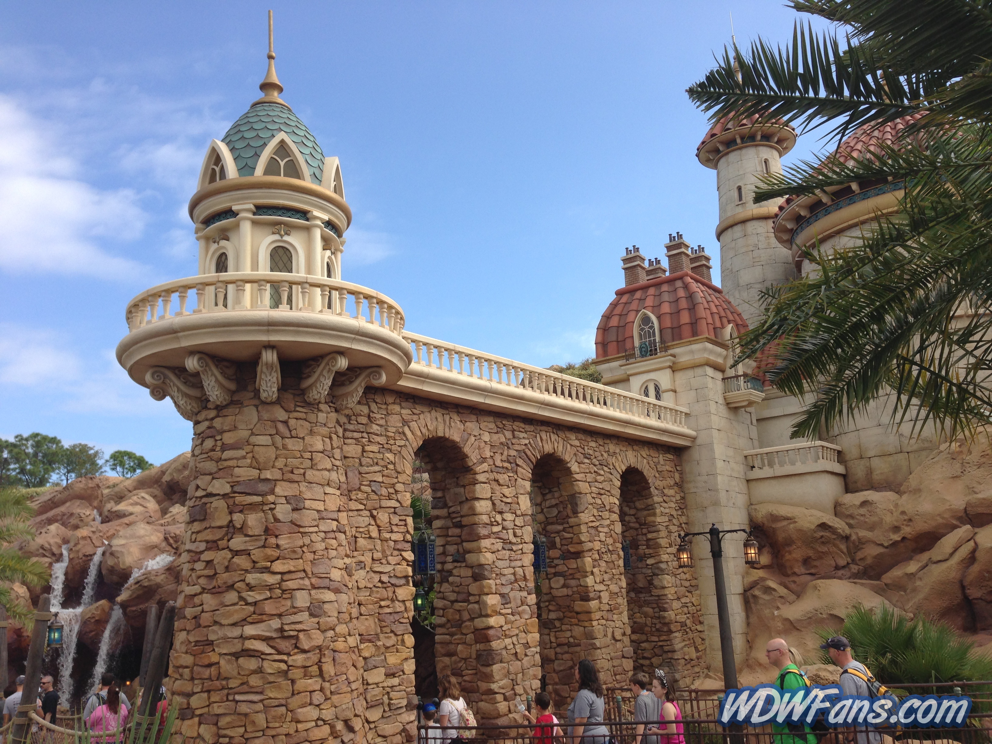 Enchanted Forest Soft Opening