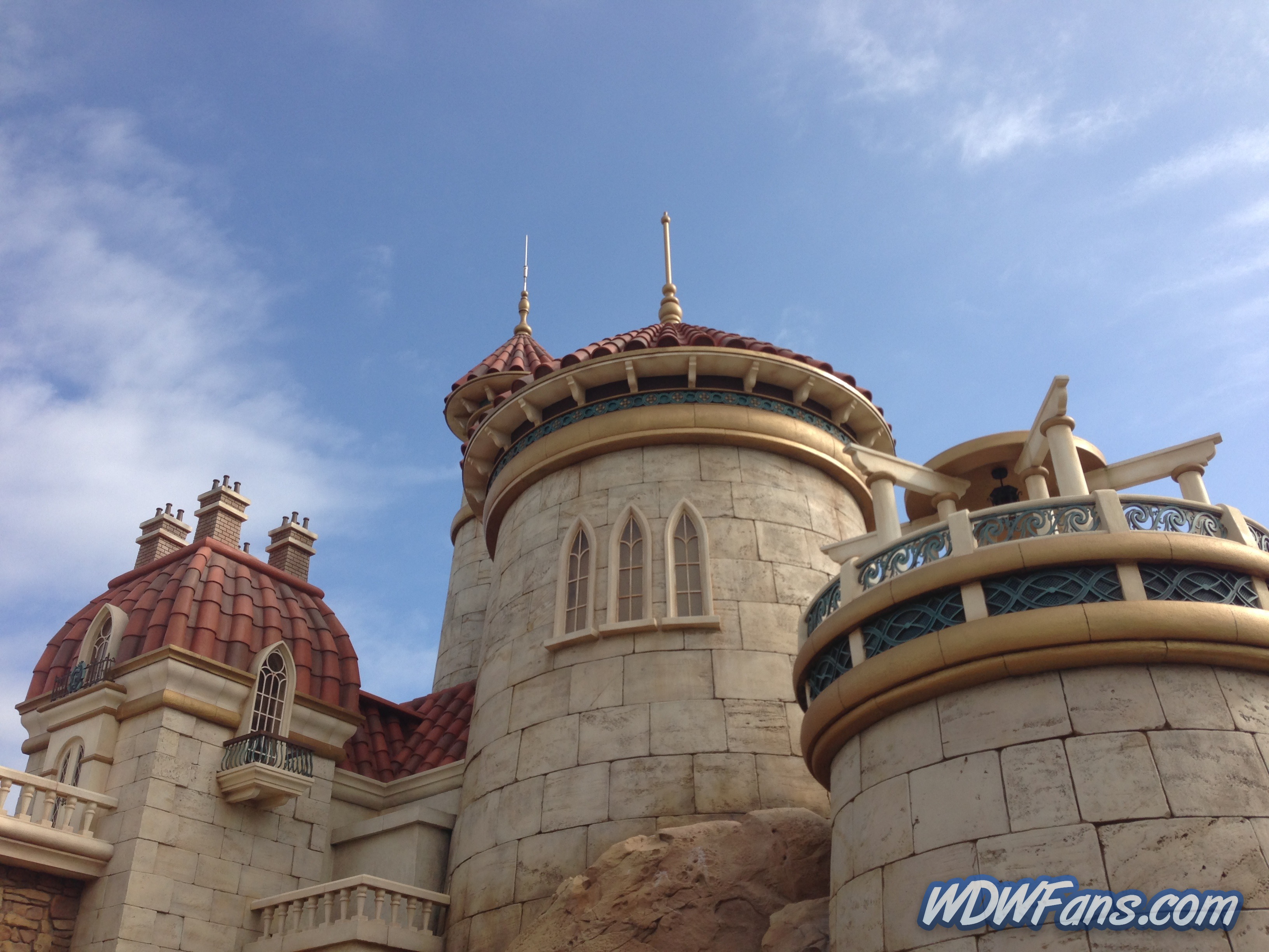 Enchanted Forest Soft Opening