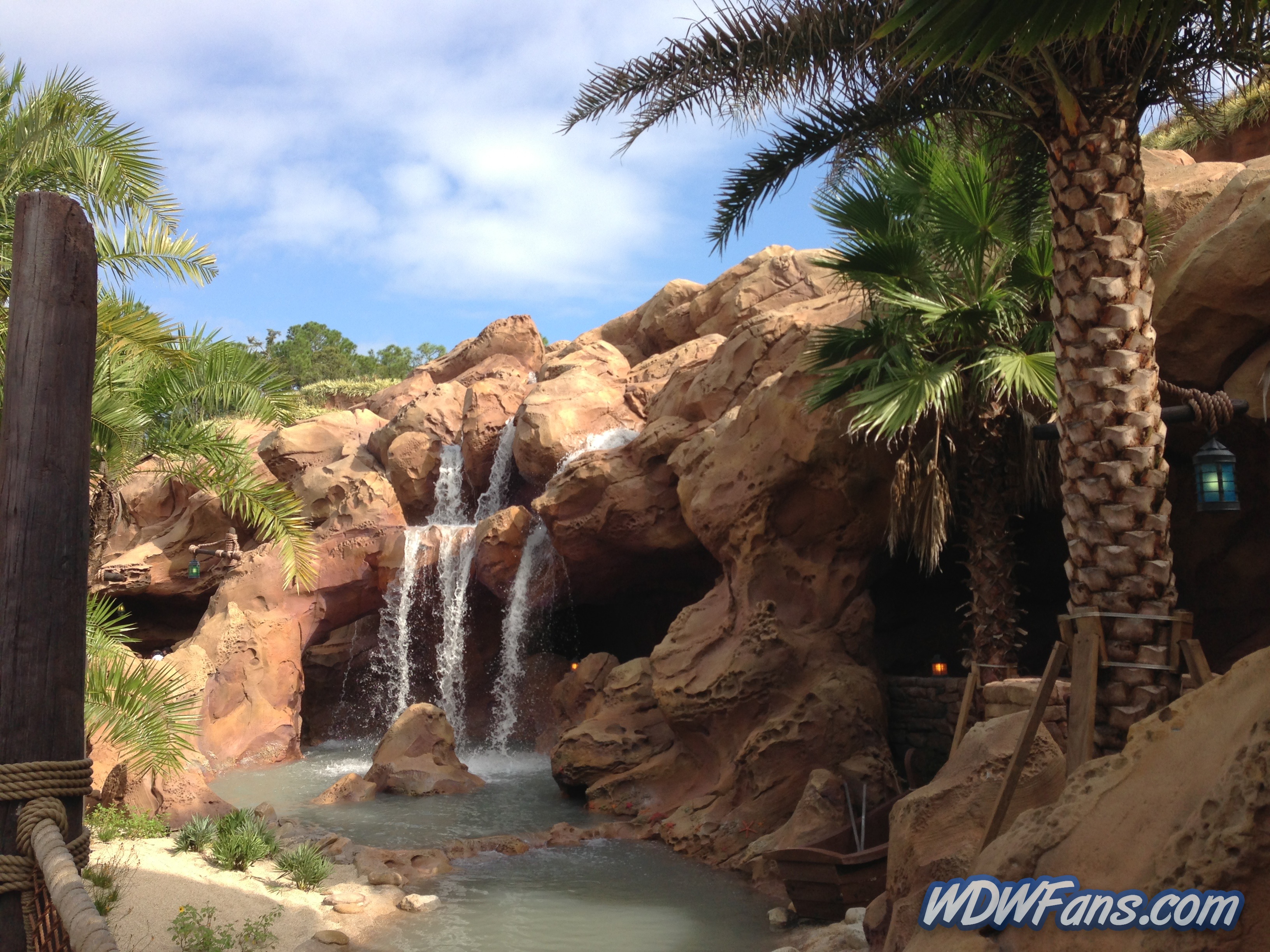 Enchanted Forest Soft Opening