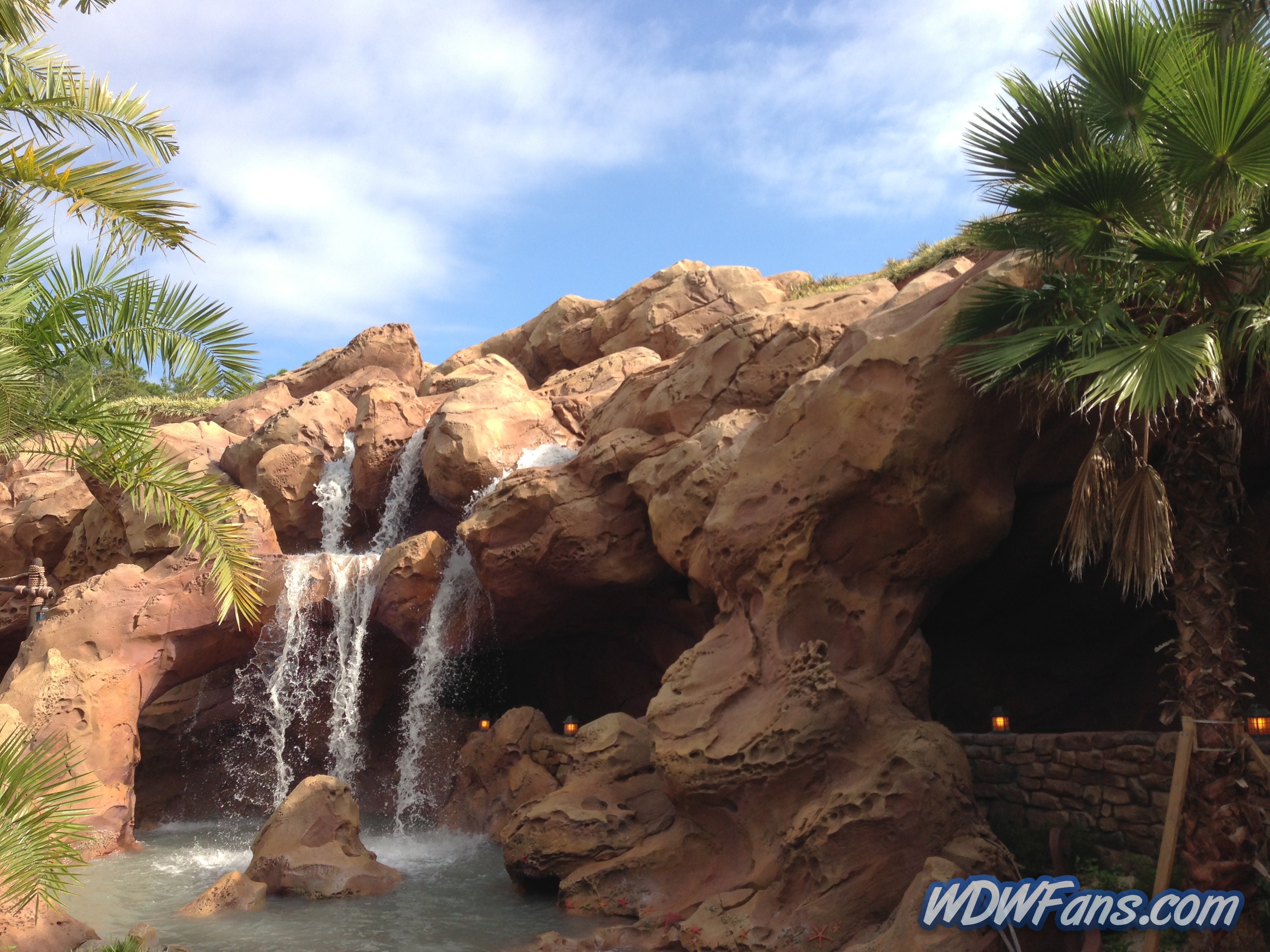 Enchanted Forest Soft Opening