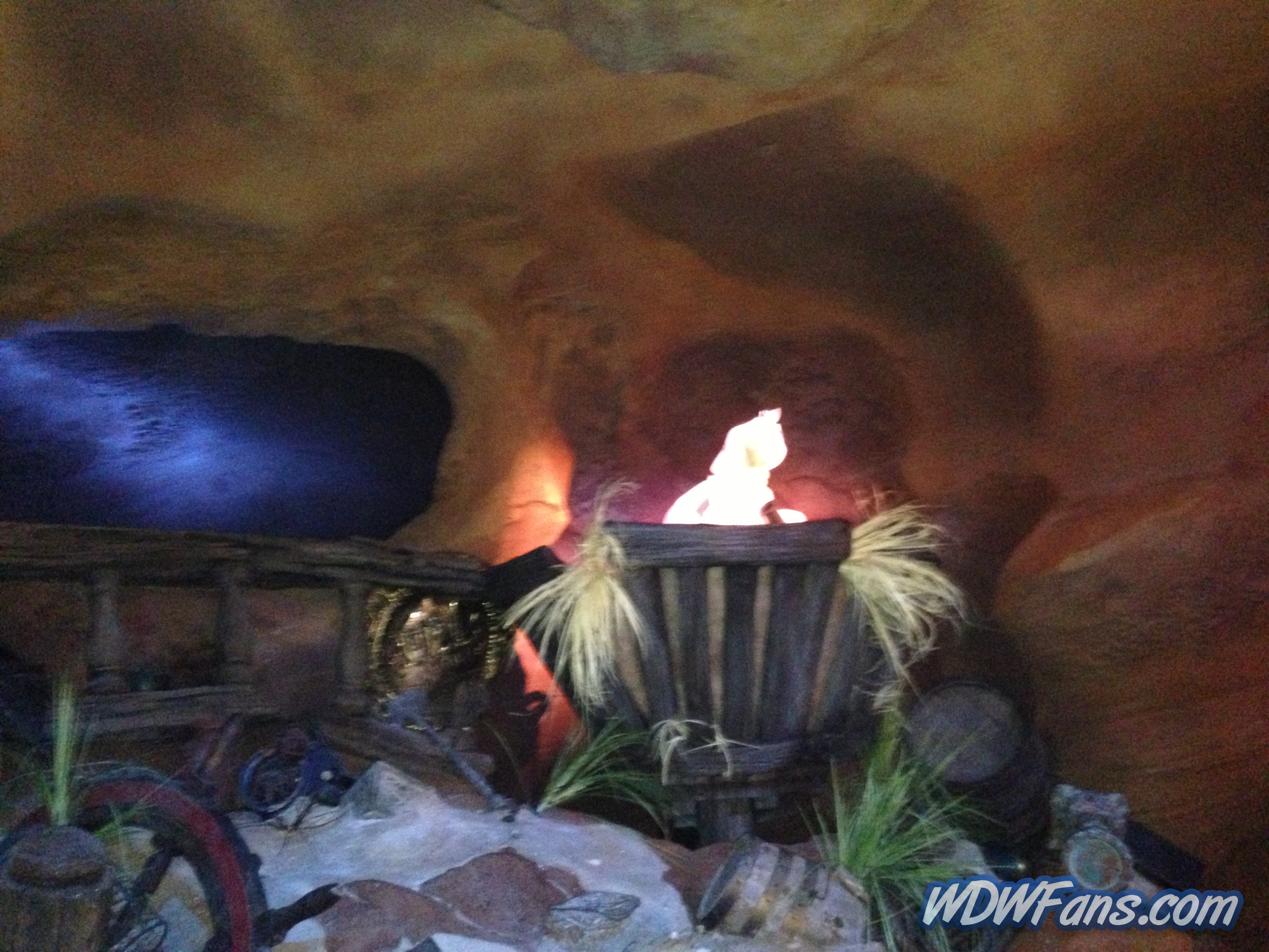 Enchanted Forest Soft Opening