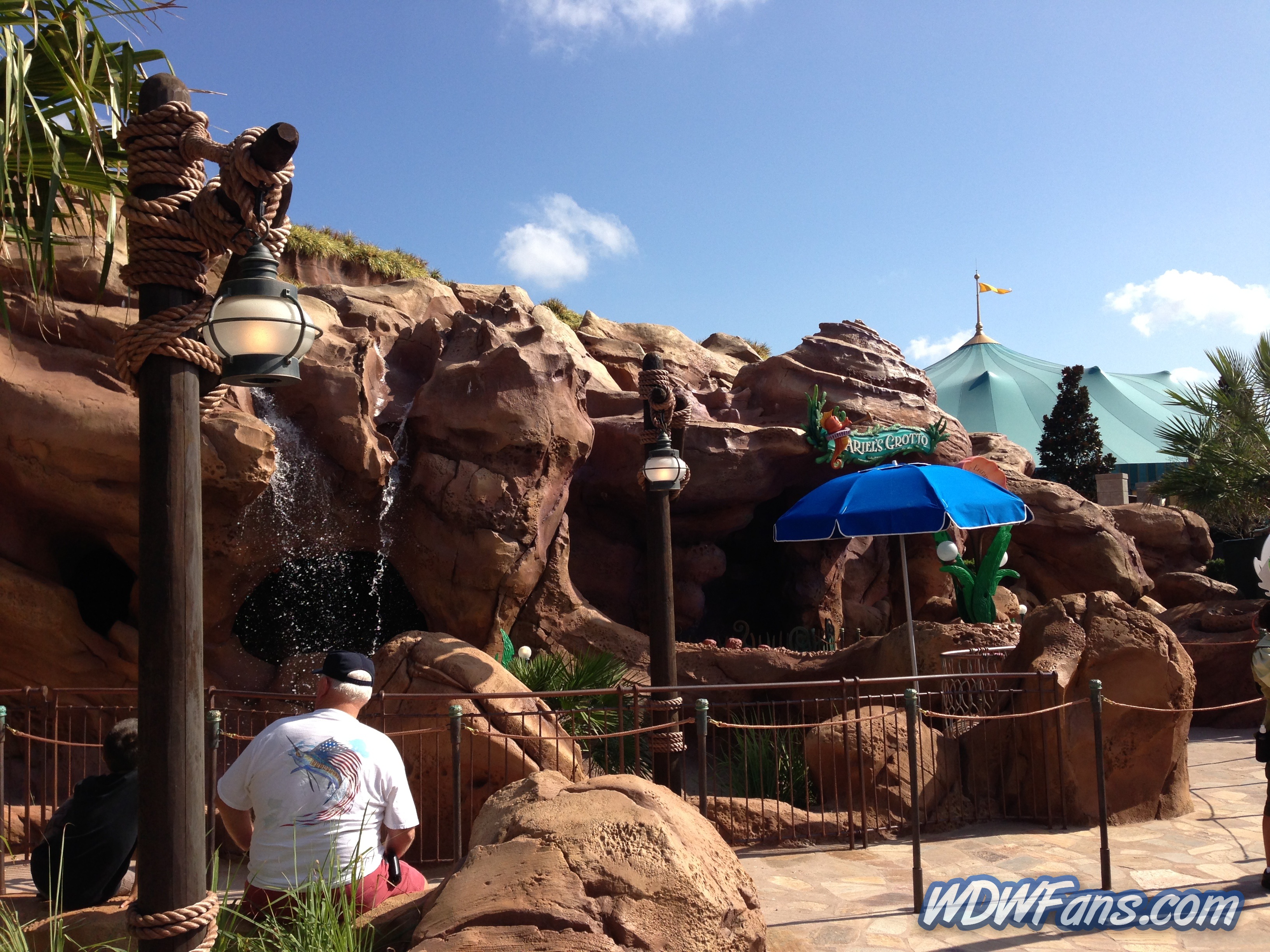 Enchanted Forest Soft Opening