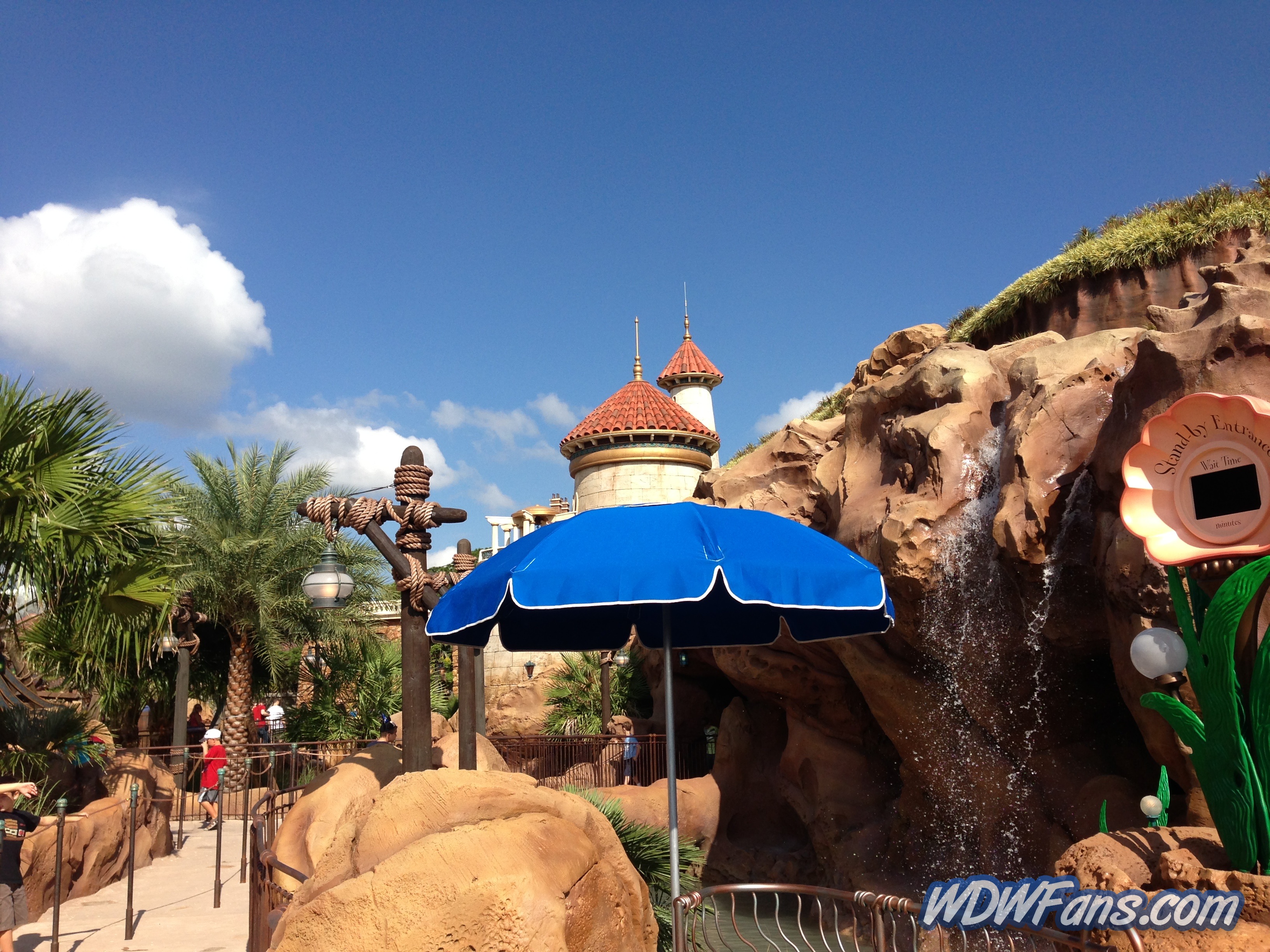 Enchanted Forest Soft Opening
