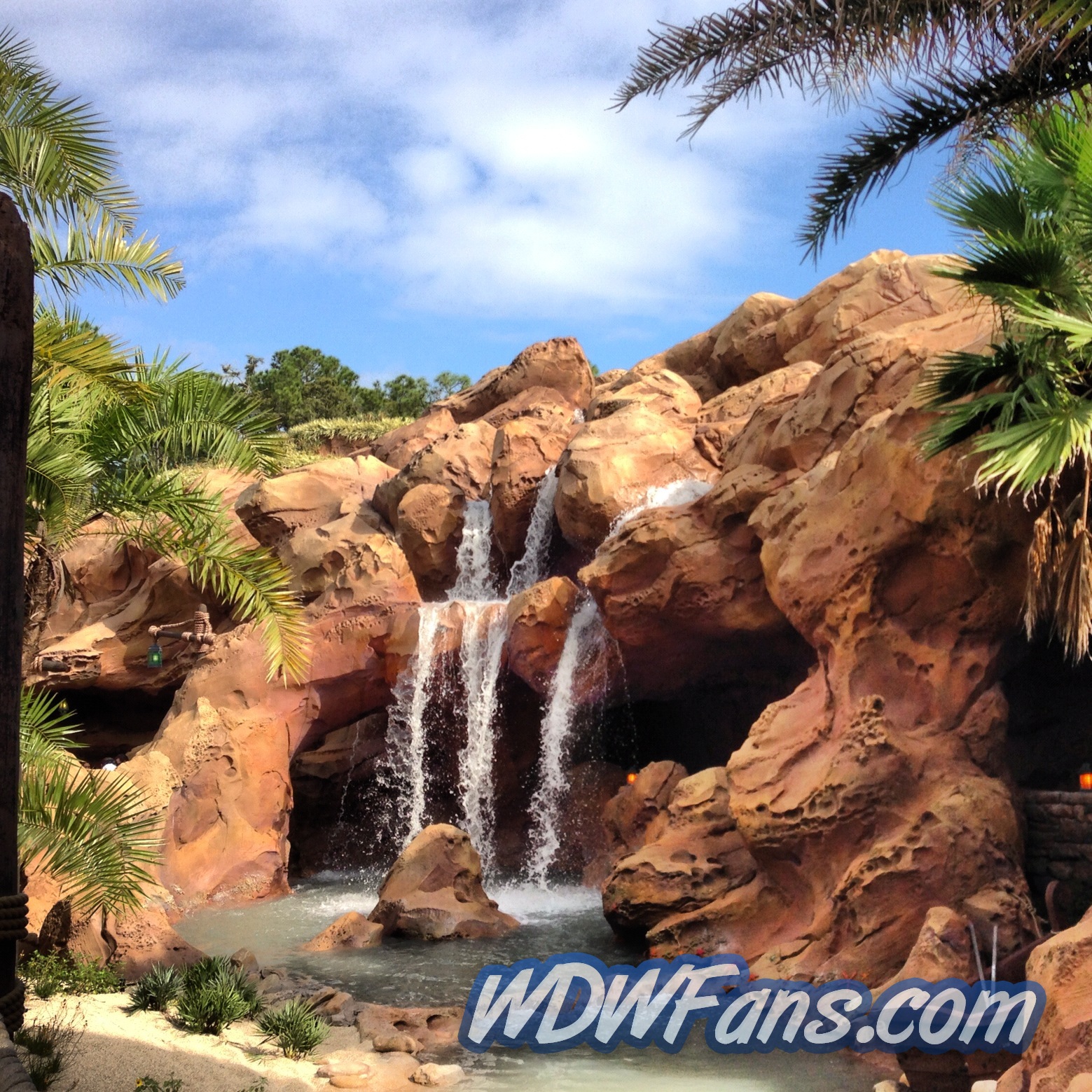 Enchanted Forest Soft Opening