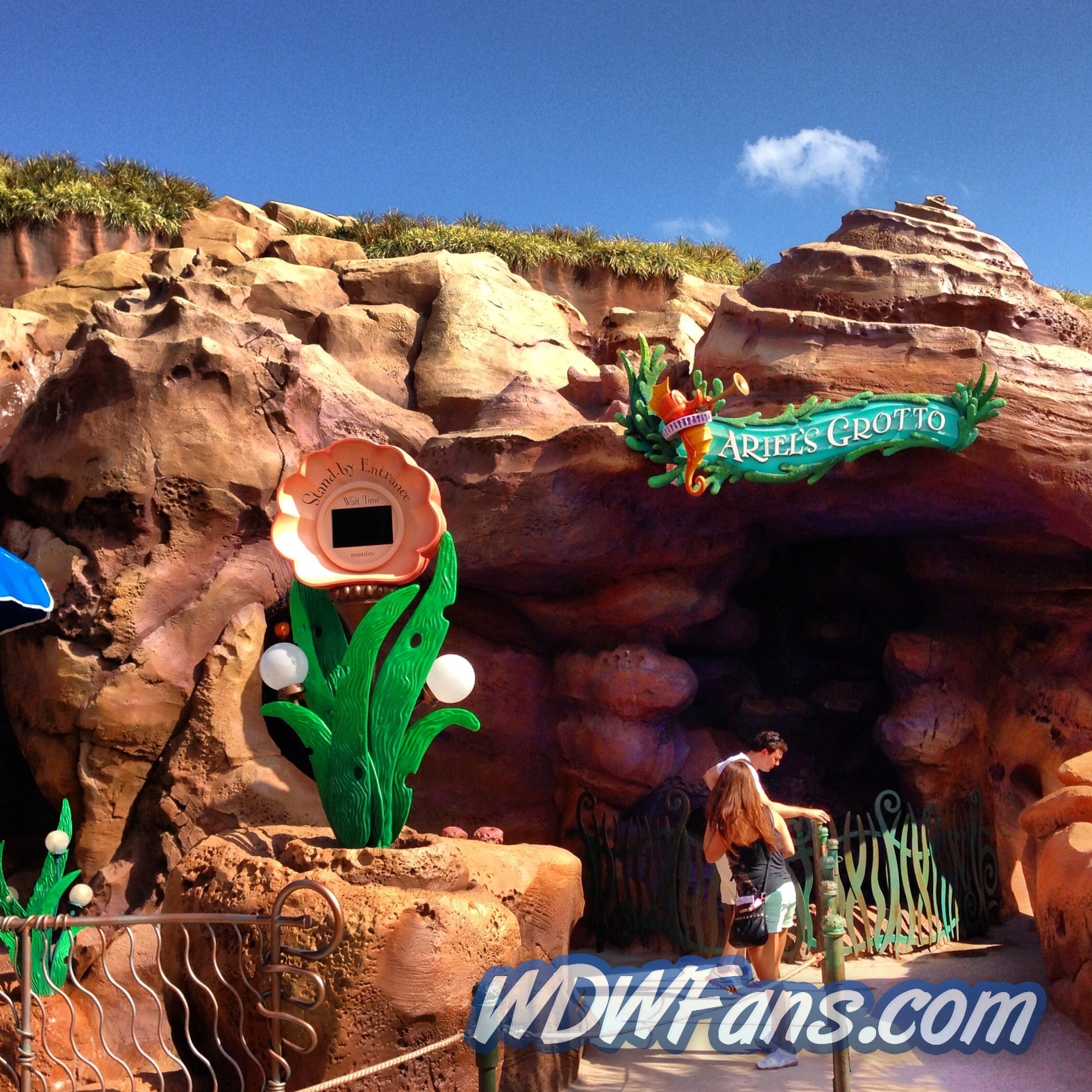 Enchanted Forest Soft Opening