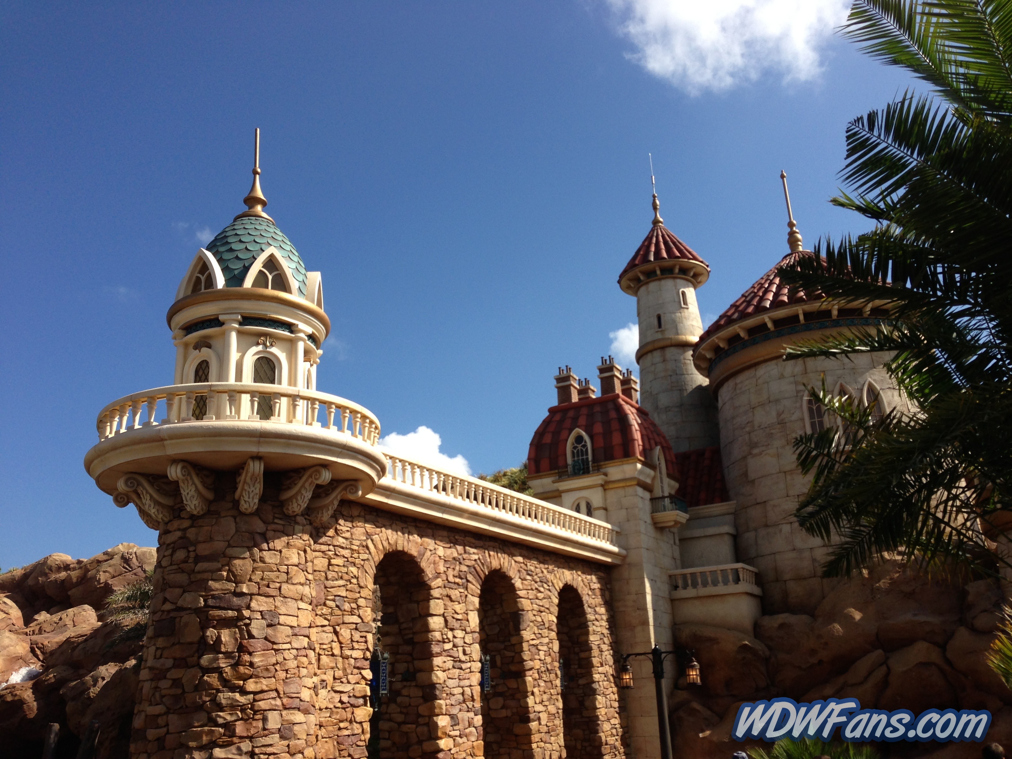 Enchanted Forest Soft Opening