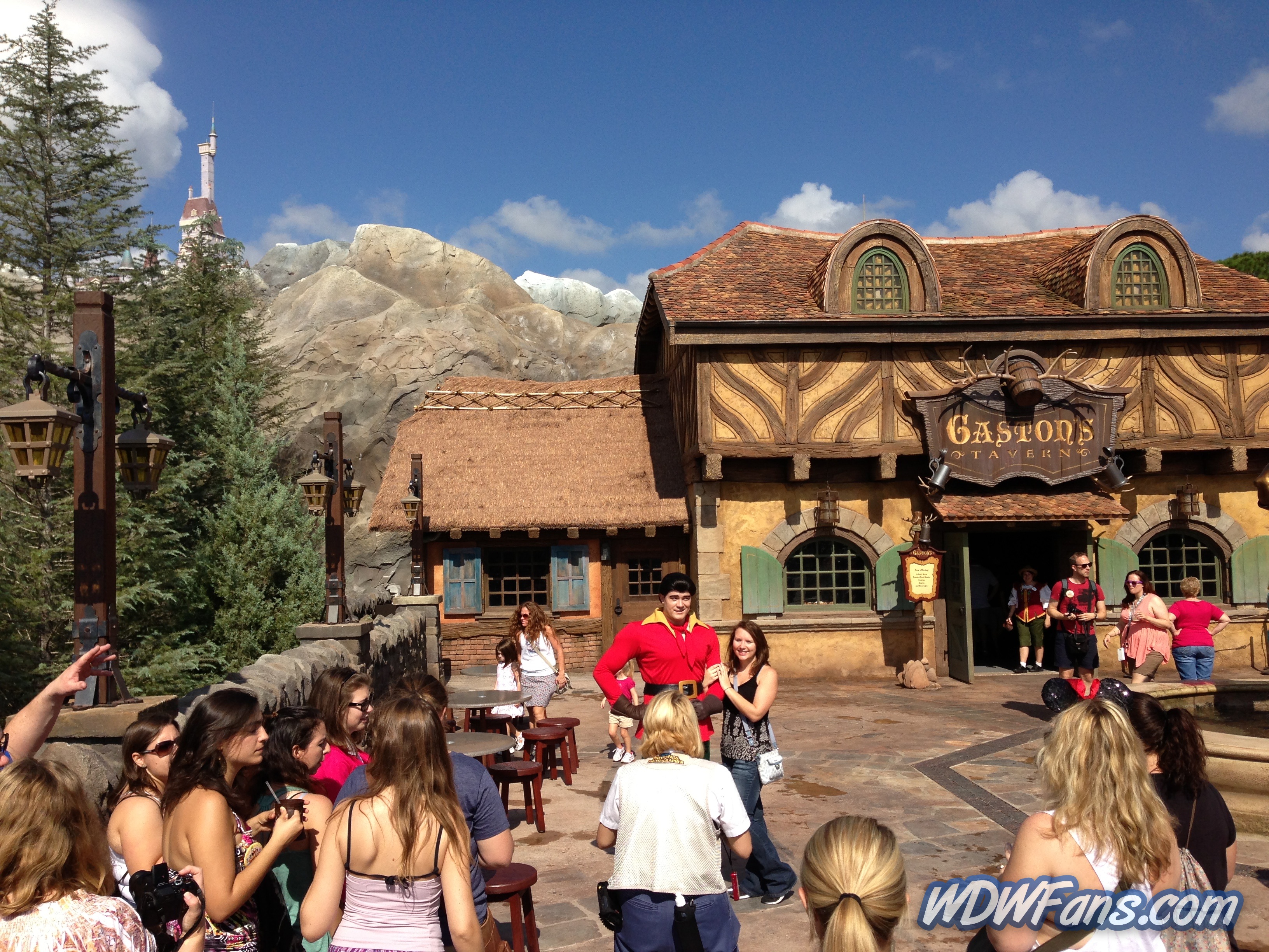 Enchanted Forest Soft Opening