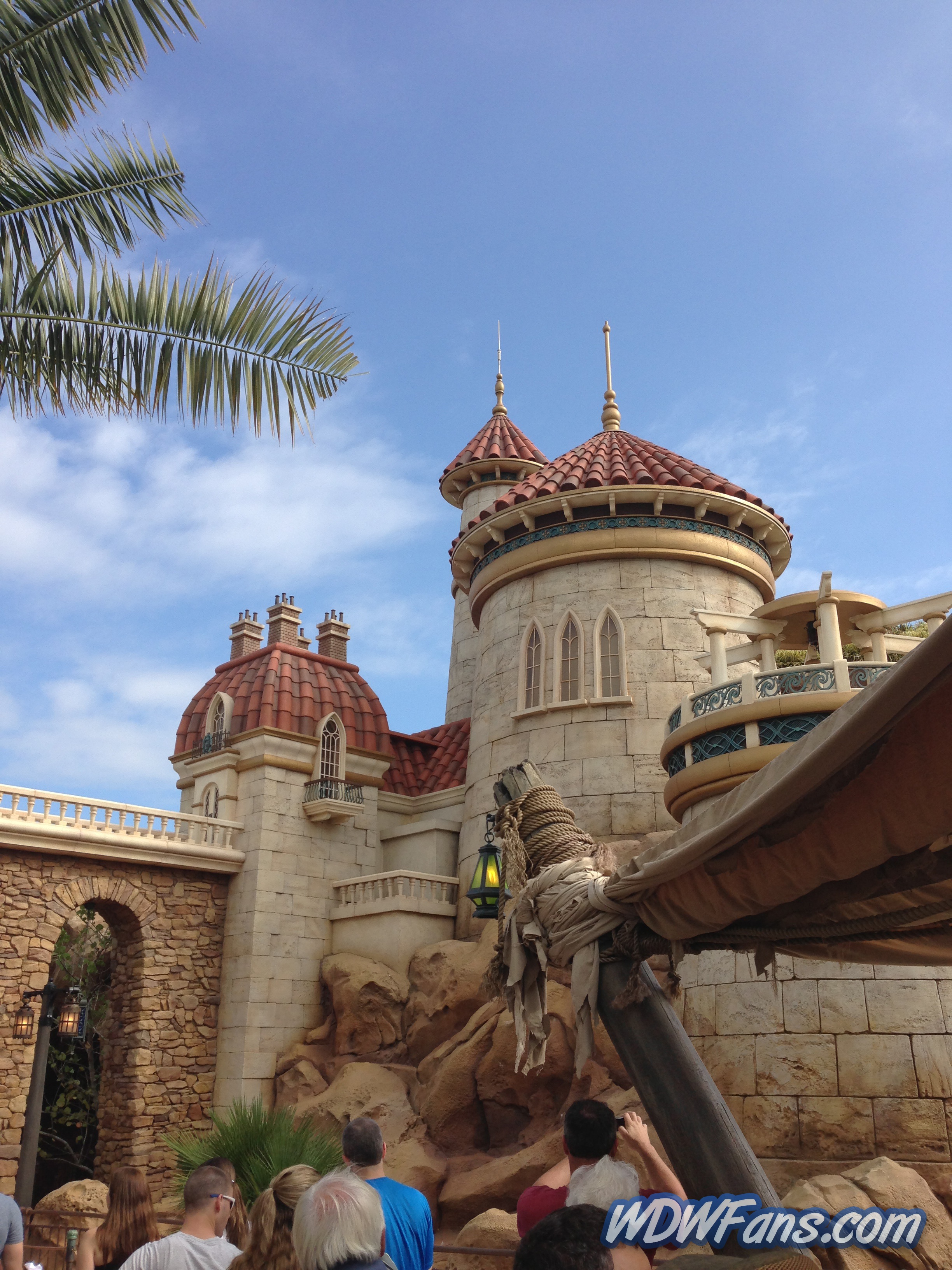 Enchanted Forest Soft Opening