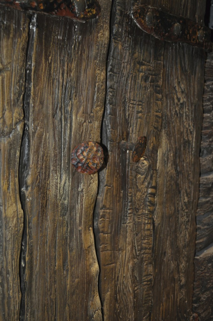 Seven Dwarfs Mine Train Pre-Opening