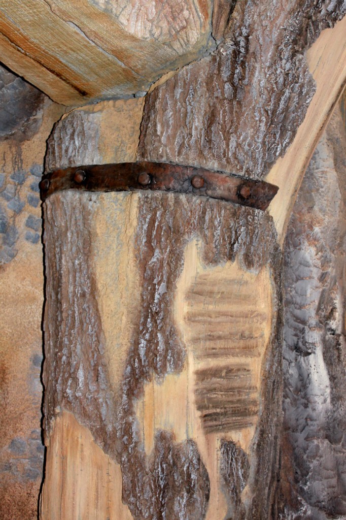 Seven Dwarfs Mine Train Pre-Opening