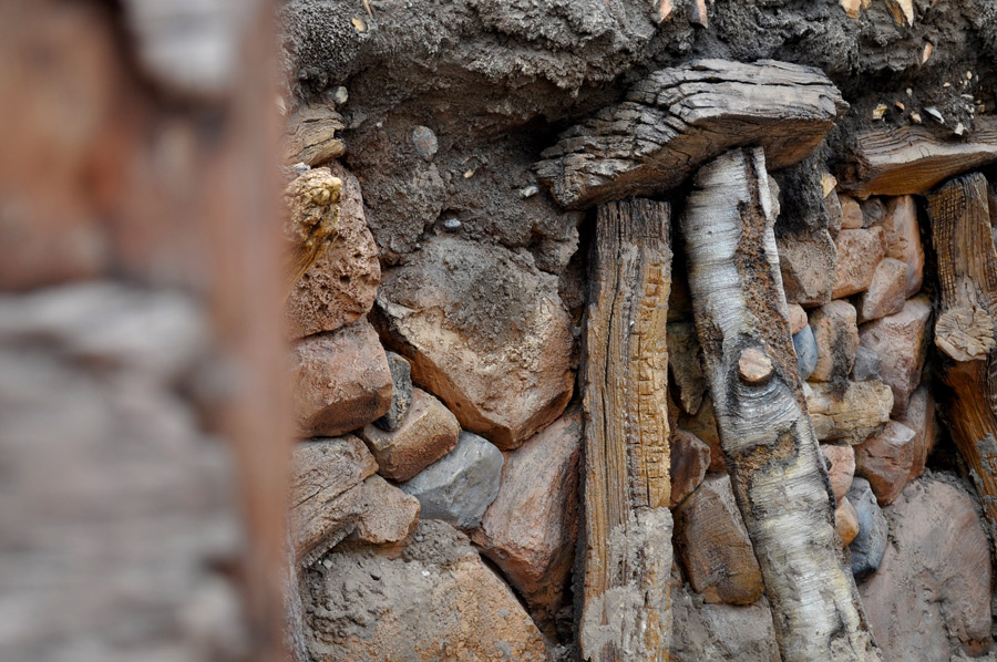 Seven Dwarfs Mine Train Pre-Opening