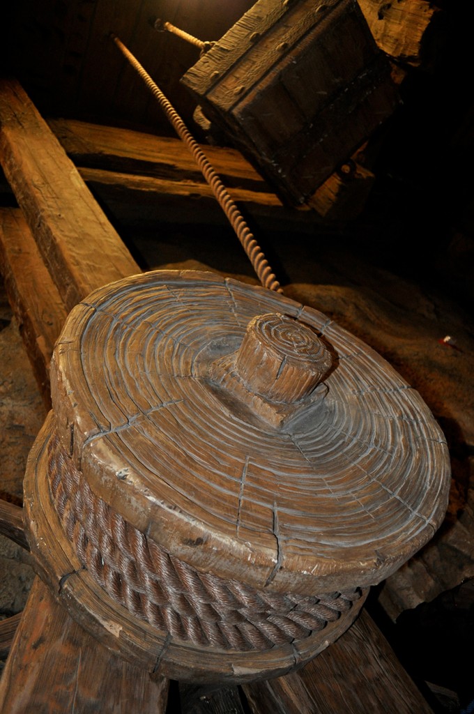 Seven Dwarfs Mine Train Pre-Opening