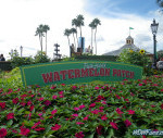 IMGP0251_watermarked.jpg