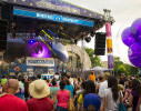 gdc288848LARGE.jpg