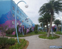 IMGP0234_watermarked.jpg