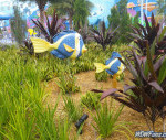 IMGP0242_watermarked.jpg