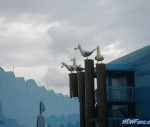 IMGP0276 2_watermarked.jpg