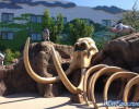 IMG_1841_watermarked.jpg