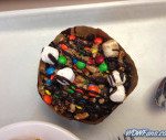 IMG_1824_watermarked.jpg