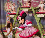 pss849136-732x1024.jpeg