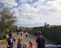 IMG_1637_watermarked.jpg