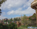 IMG_1697_watermarked.jpg