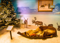 Norsk Kultur Gallery opens at Epcot's Norway Pavilion - Photo (c) Disney