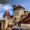 Enchanted Forest Soft Opening