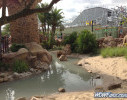 IMG_1701_watermarked.jpg