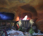 IMG_1707_watermarked.jpg