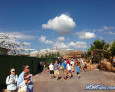 IMG_1732_watermarked.jpg