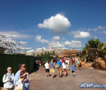 IMG_1732_watermarked.jpg