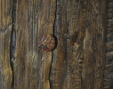 MTG521101-680x1024.jpg