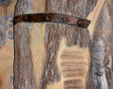 MTG521102-682x1024.jpg