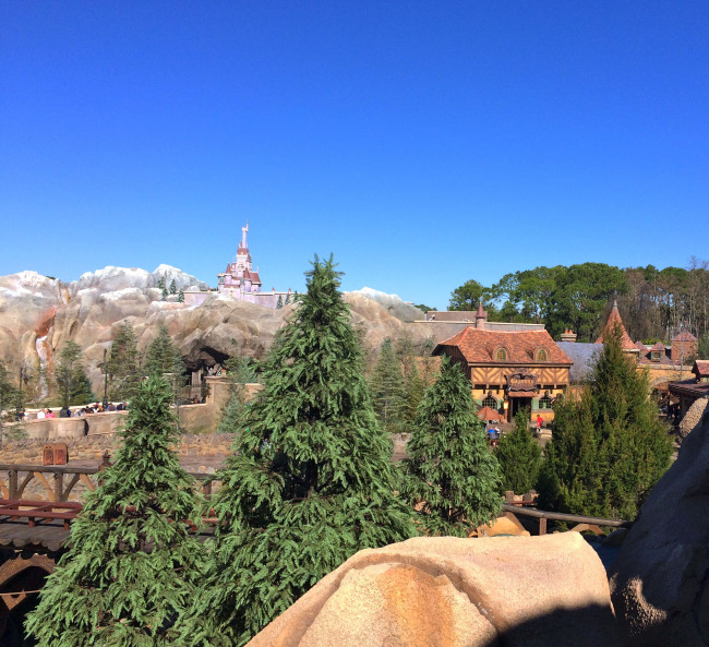 Seven Dwarfs Mine Train - Top View